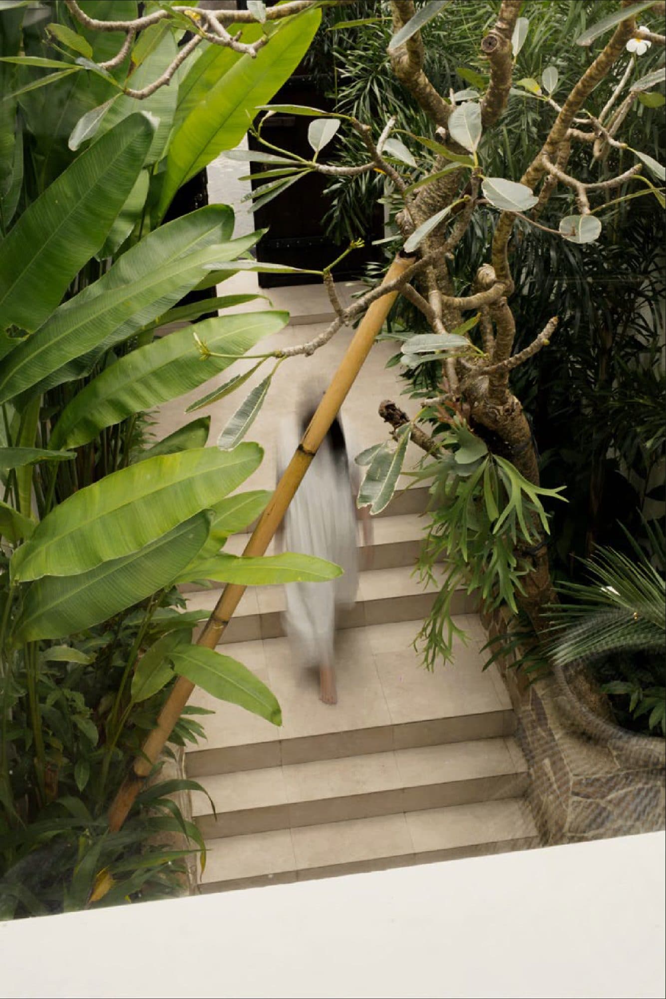 Villa & Leisure: still 4